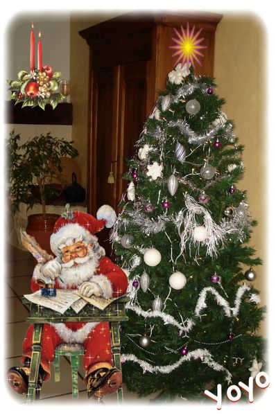 Sapin-1.jpg