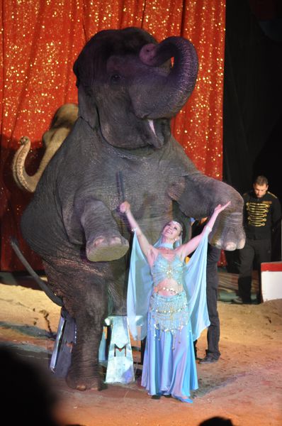 cirque Medrano