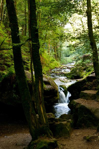 la petite Suisse Luxembourgeoise-6