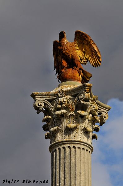 _5115-L-Aigle.jpg