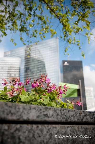 La-Defense-10 5430