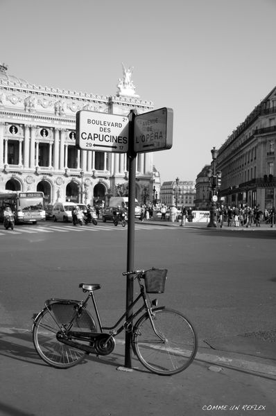 Le-pave-parisien 0428