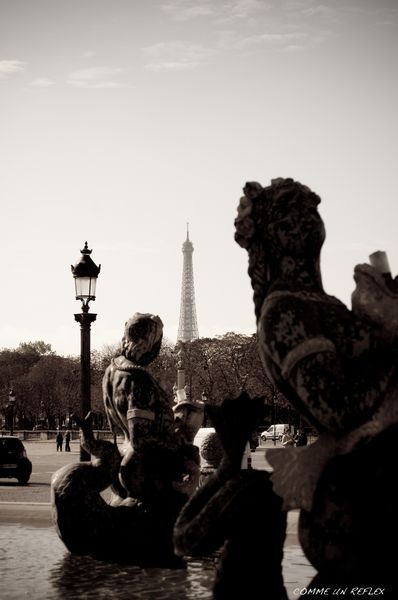 Tour-Eiffel 0171
