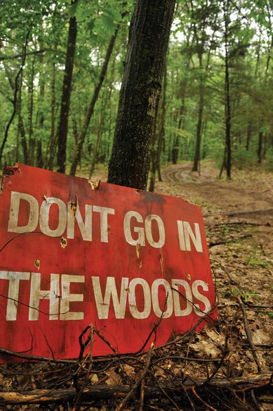 Don-t-Go-in-the-Woods.jpg