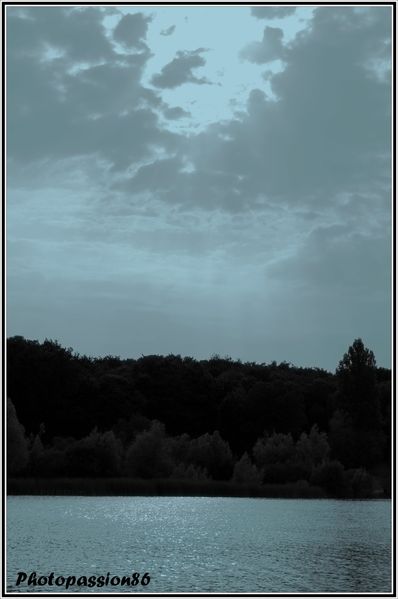 Copie-de-DSC_0165.JPG