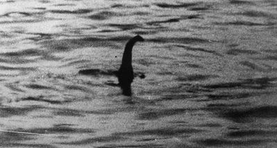 9006_le-monstre-du-loch-ness-est-visible-sur-maps-et-unique.jpg