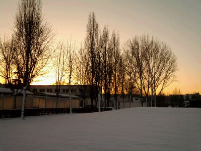 2010-12-09.jpeg
