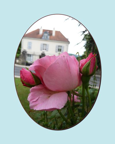oval-fleur-deux.jpg