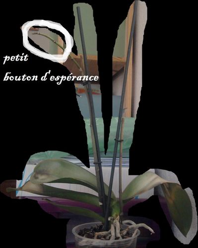 SNC00022.jpg