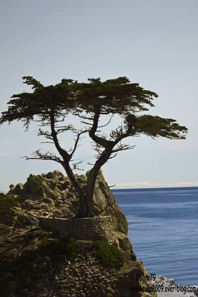 Big Sur - 06