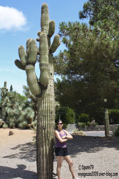 Route 66 - 02
