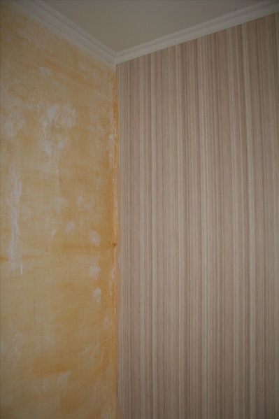 20100124 detapissage (3)