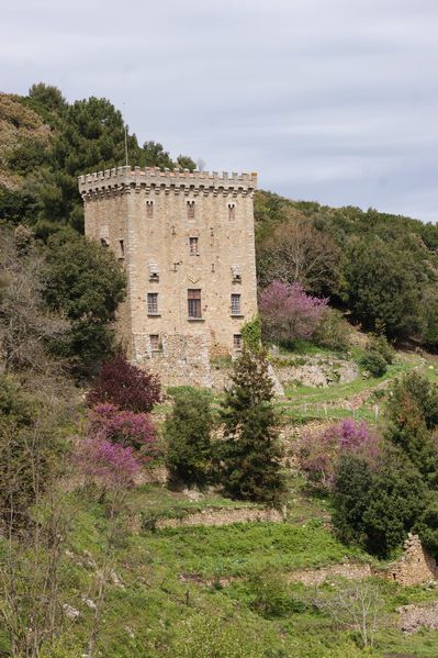 Corse chateau de la punta tour carree (11)
