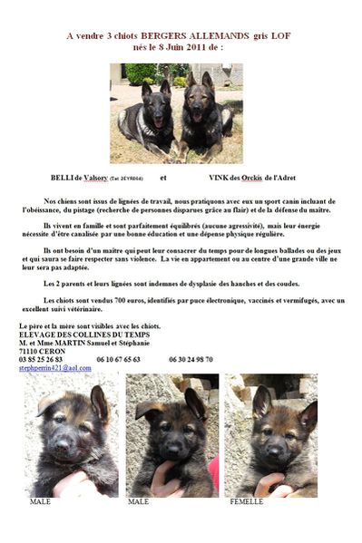 Annonce bbs BA