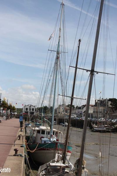 Voyage-Nantes-septembre-2010-323.jpg