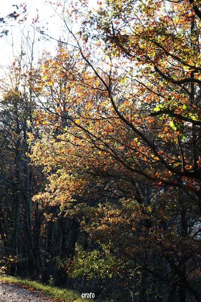 promenade-Pierre-Plantee-030.jpg