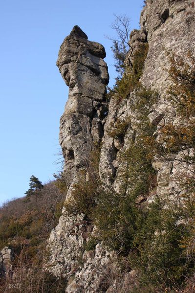 22mars2012-Plateau-ardechois-202a.jpg