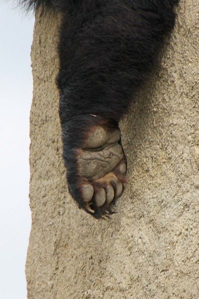 16juin2012---Sigean-098a.jpg