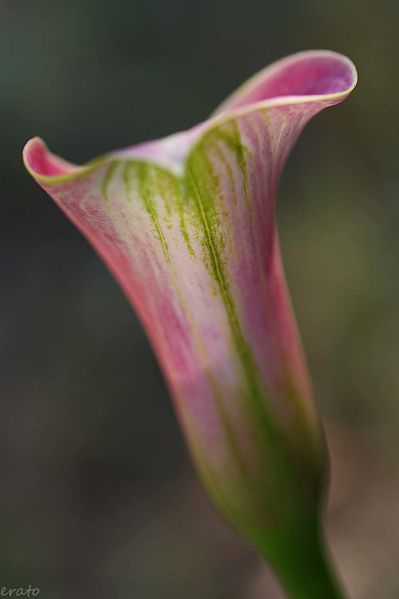 22-septembre-2012-064a.jpg
