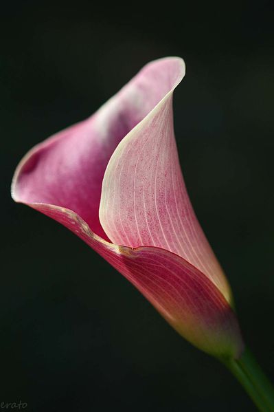 22-septembre-2012-078a.jpg