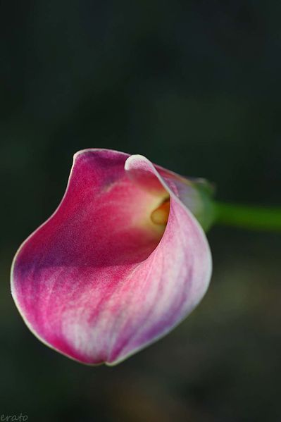 22-septembre-2012-082a.jpg