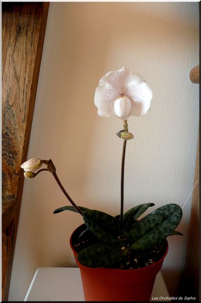 P1150656