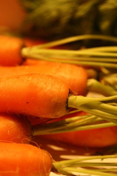 Carottes (45)