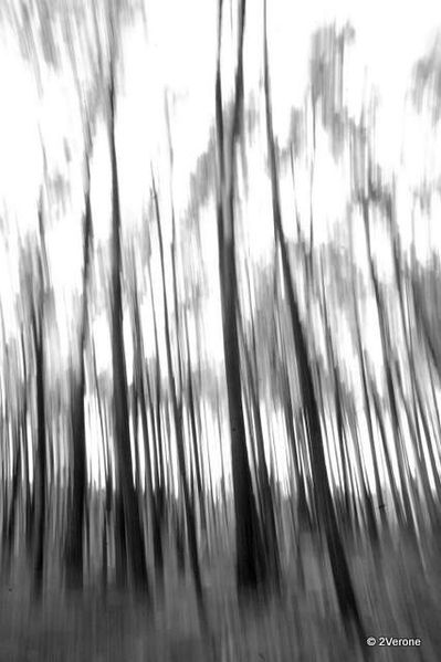REGARD-ABSTRAIT-1_0022-copie-1.jpg