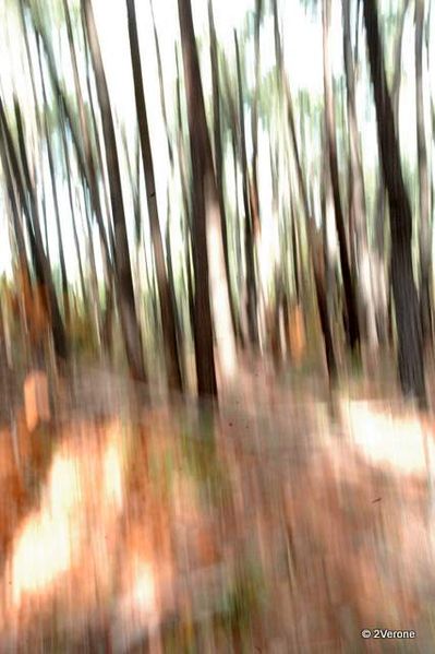 REGARD-ABSTRAIT-1_0043-copie-1.jpg