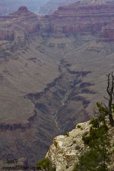 Gran-Canyon-OK 1755