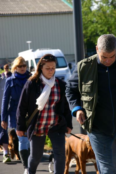 sortie-a-paimpol 0037