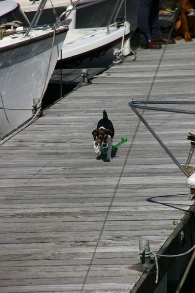 sortie-a-paimpol-0225.JPG