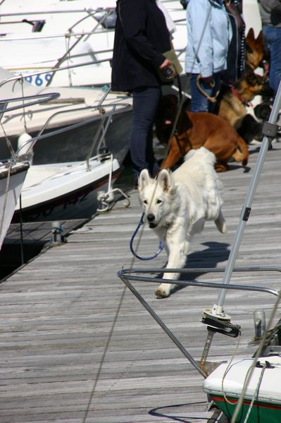 sortie-a-paimpol 0230