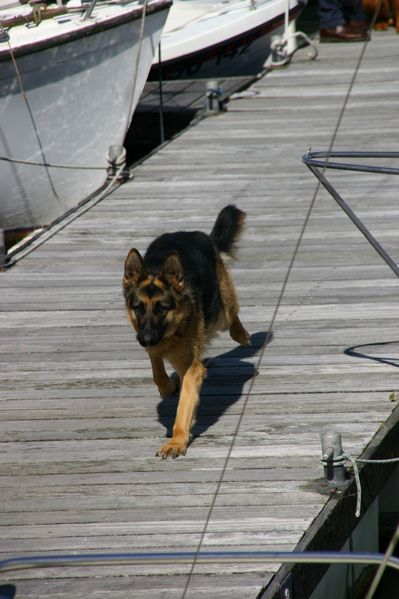 sortie-a-paimpol 0246