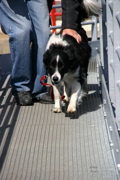 sortie-a-paimpol 0314