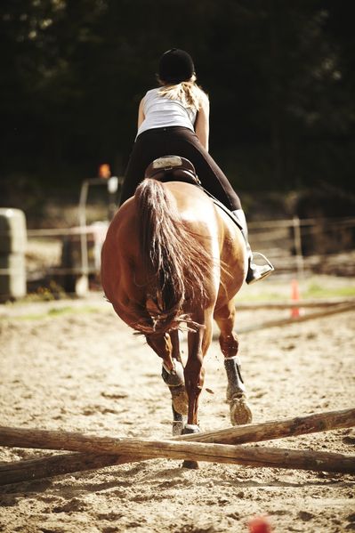 Cam-Cheval-1939.jpg