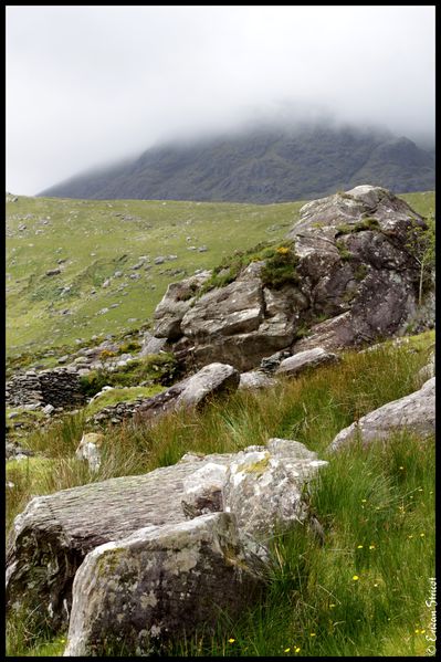Irlande-2010 4660
