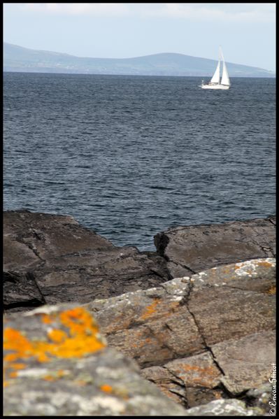 Irlande-2010 5144