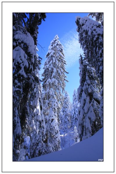 la-ruchere-alienard-page 2652 GF