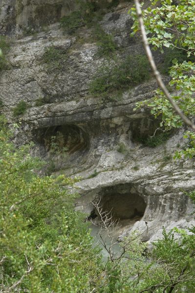 tete-de-mort.jpg