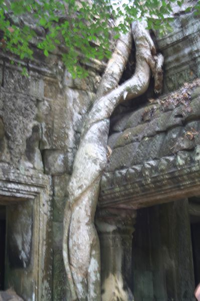 cambodge2 342