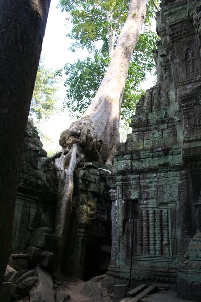 cambodge2 356