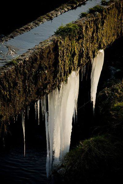 12-02-11 Isle sur la Sorgue 03