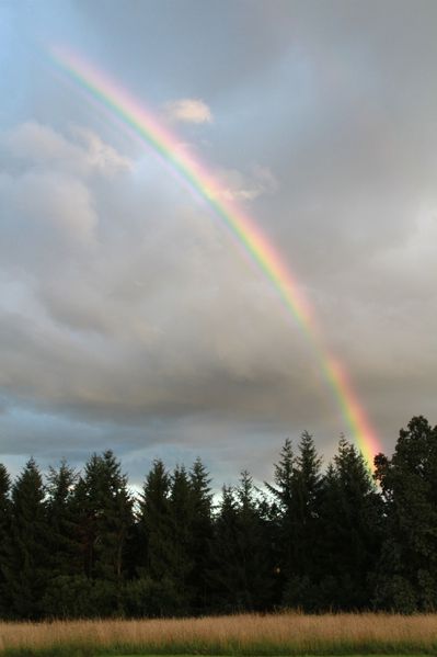 Paysage-5989.JPG