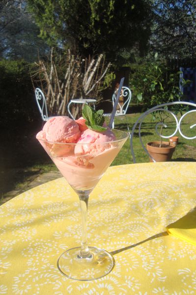 000 glace fraise tagada (9)