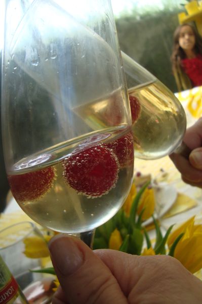 000 apéritif lulu 13 04 2014 (3)