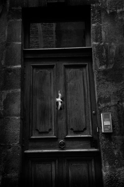 un-oiseau-sur-une-porte.jpg