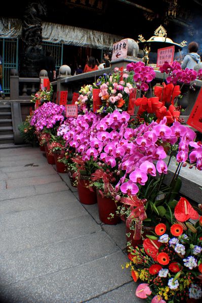 Longshan temple (1)