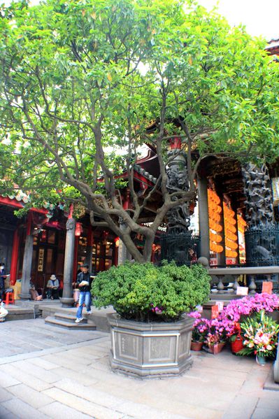 Longshan temple (2)