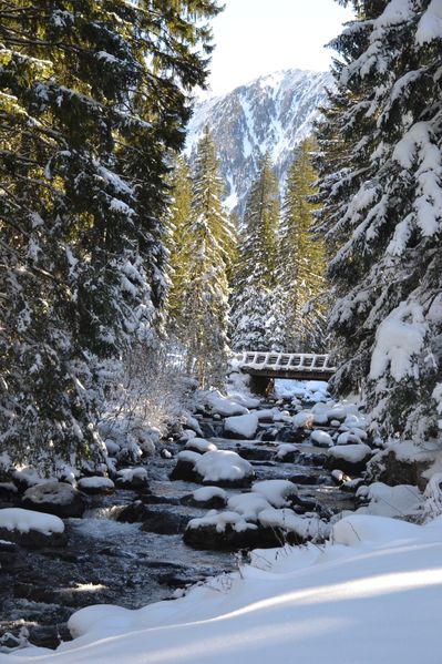gordo-boreon-le-02-11-2012-148.JPG